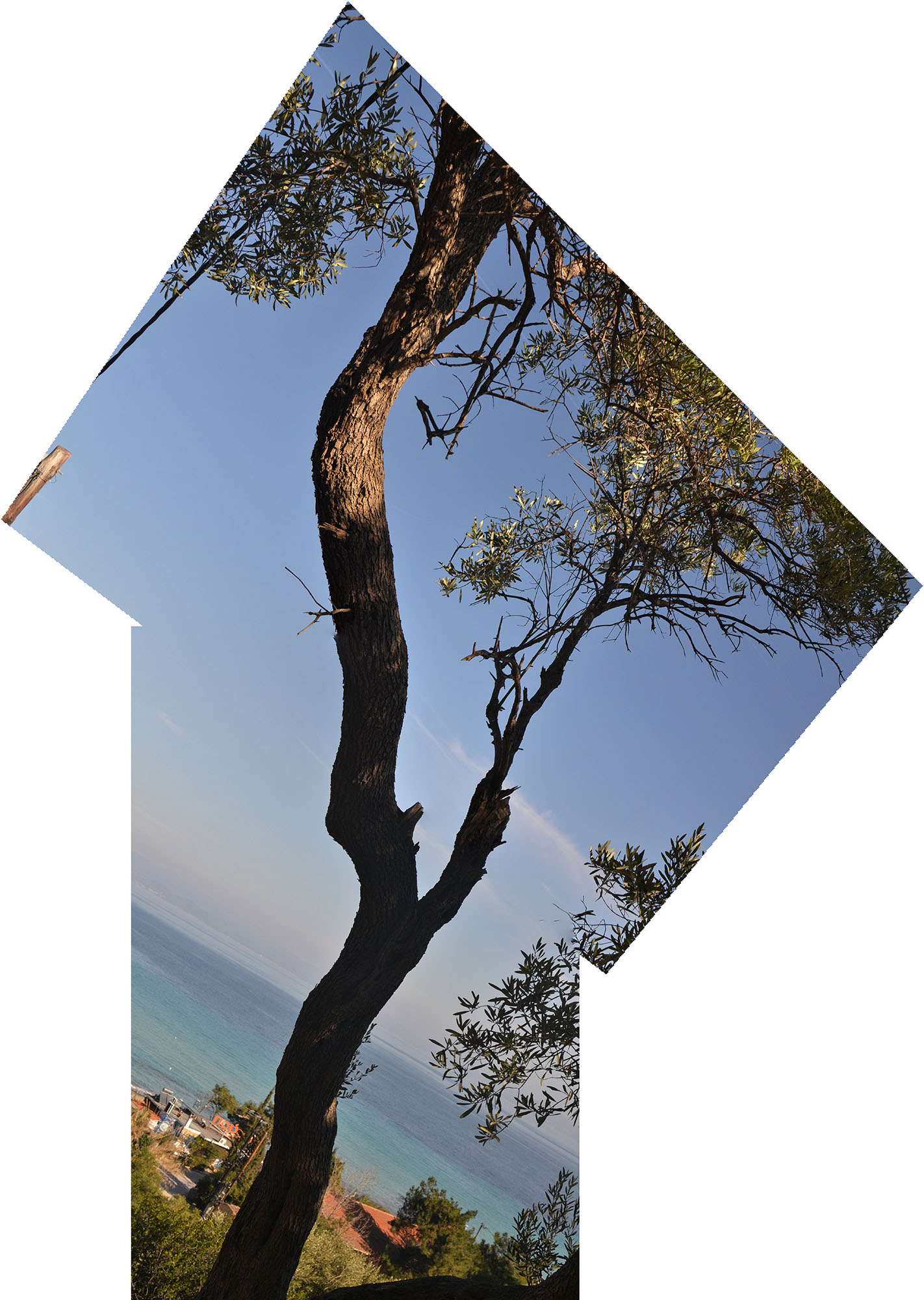 Untitled_Panorama 183